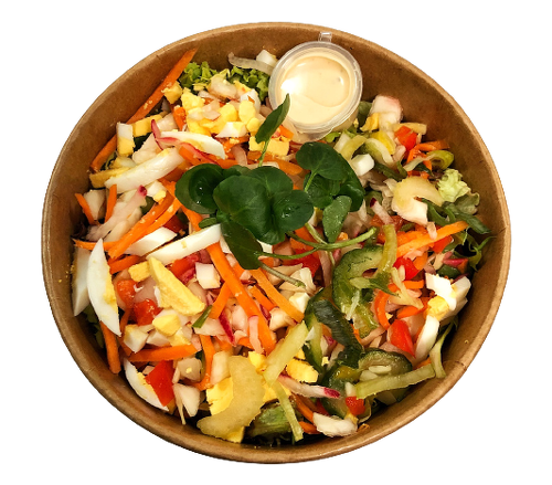 Bakje Rauwkost